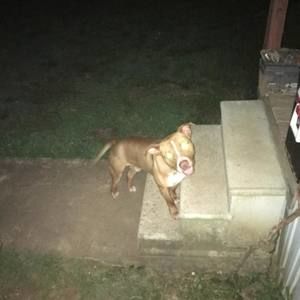 Meet your Posher, Luke